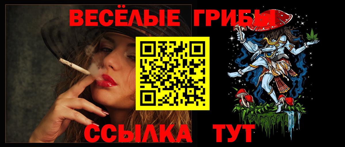 Псилоцибиновые грибы ЛСД Мытищи
